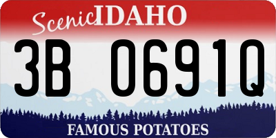 ID license plate 3B0691Q