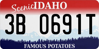ID license plate 3B0691T