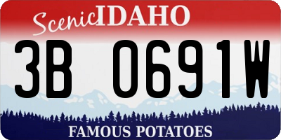 ID license plate 3B0691W
