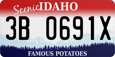 ID license plate 3B0691X
