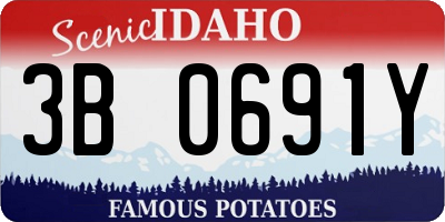 ID license plate 3B0691Y