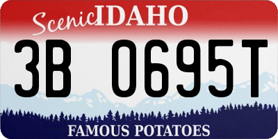ID license plate 3B0695T