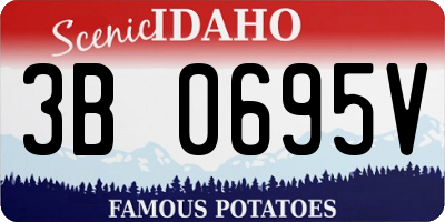 ID license plate 3B0695V