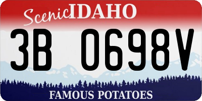 ID license plate 3B0698V