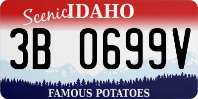 ID license plate 3B0699V