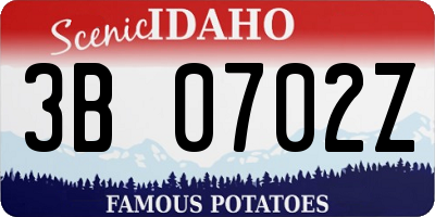 ID license plate 3B0702Z