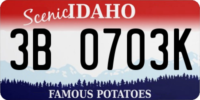 ID license plate 3B0703K