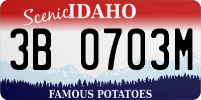 ID license plate 3B0703M