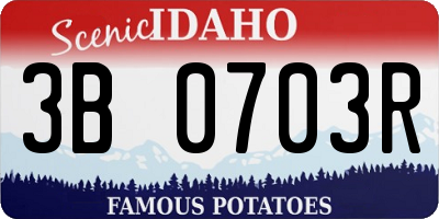 ID license plate 3B0703R