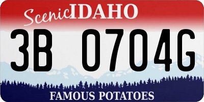 ID license plate 3B0704G