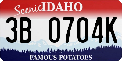ID license plate 3B0704K