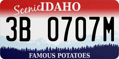 ID license plate 3B0707M