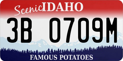 ID license plate 3B0709M