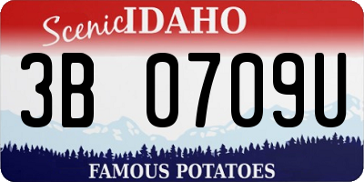 ID license plate 3B0709U