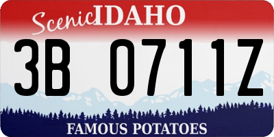 ID license plate 3B0711Z