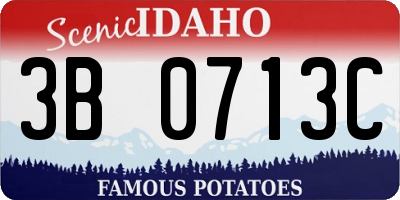 ID license plate 3B0713C