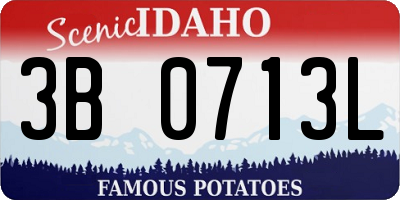 ID license plate 3B0713L