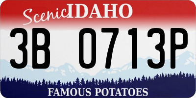 ID license plate 3B0713P