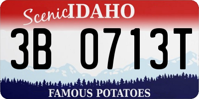 ID license plate 3B0713T
