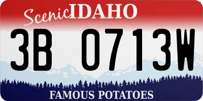 ID license plate 3B0713W