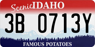 ID license plate 3B0713Y