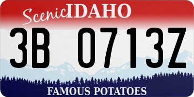 ID license plate 3B0713Z