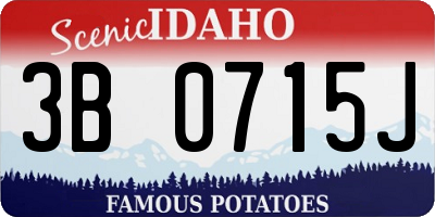 ID license plate 3B0715J