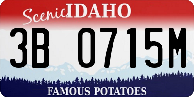 ID license plate 3B0715M