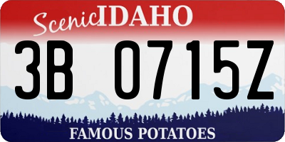 ID license plate 3B0715Z
