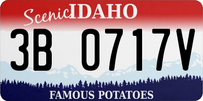 ID license plate 3B0717V