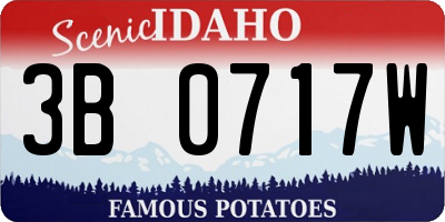 ID license plate 3B0717W