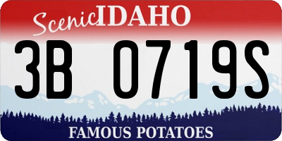 ID license plate 3B0719S