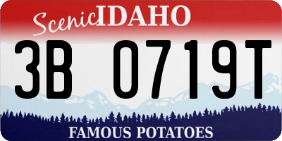 ID license plate 3B0719T