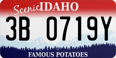 ID license plate 3B0719Y