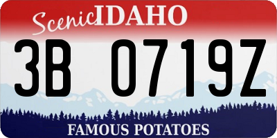 ID license plate 3B0719Z