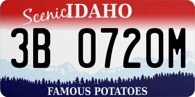 ID license plate 3B0720M