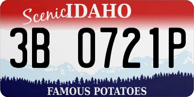 ID license plate 3B0721P