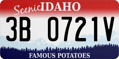 ID license plate 3B0721V