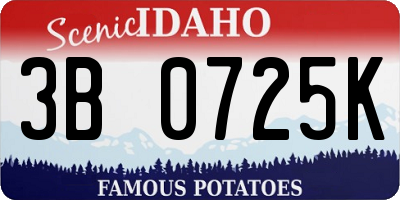 ID license plate 3B0725K