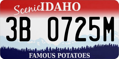 ID license plate 3B0725M