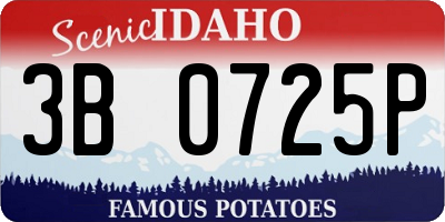 ID license plate 3B0725P