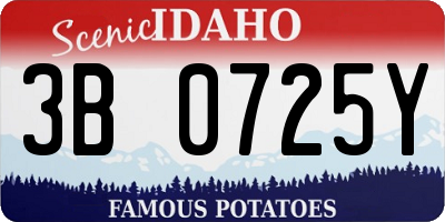 ID license plate 3B0725Y
