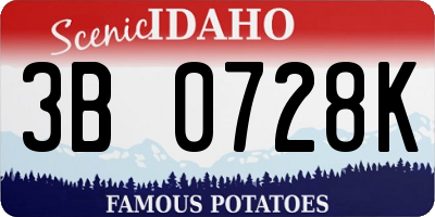 ID license plate 3B0728K