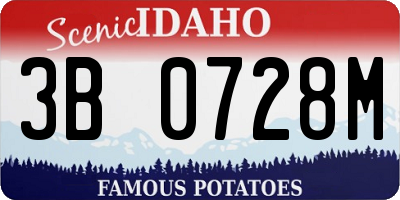 ID license plate 3B0728M