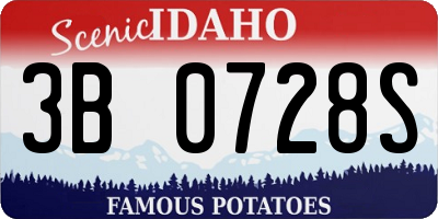ID license plate 3B0728S