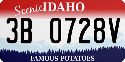 ID license plate 3B0728V