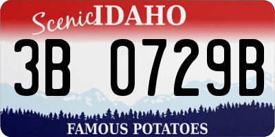 ID license plate 3B0729B