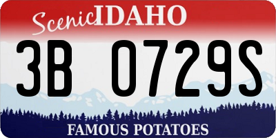 ID license plate 3B0729S