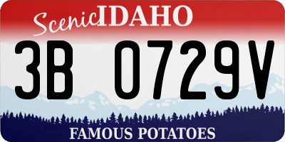 ID license plate 3B0729V