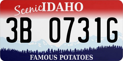 ID license plate 3B0731G